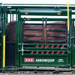 bull_in_86_side_view